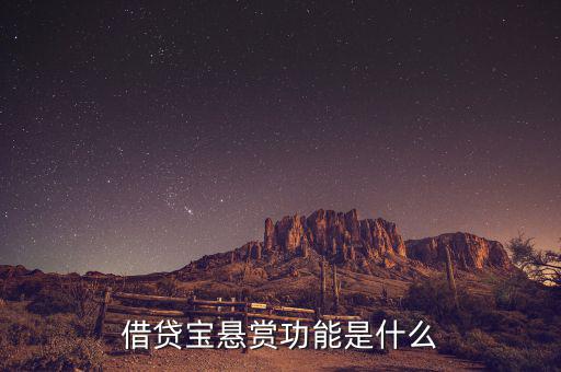 借貸寶追賞是什么意思，追賞是什么意思