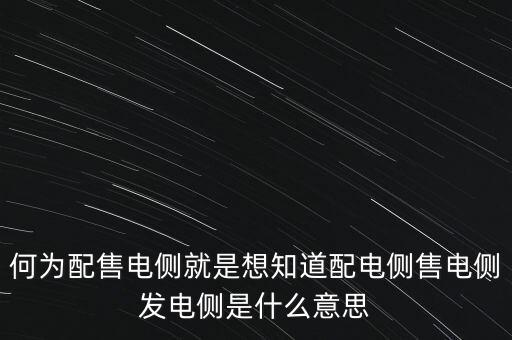 什么是發(fā)電側(cè)，發(fā)電側(cè)和變電側(cè)的側(cè)是什么意思啊