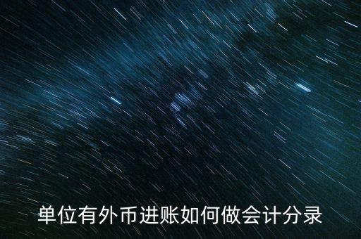 人民幣購外匯怎么憑證借貸怎么做,財務(wù)軟件使用外幣核算
