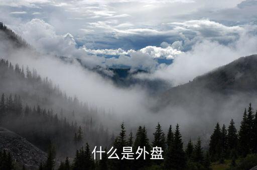 外盤是什么意思，外盤指的是什么