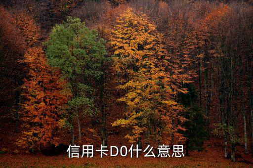 預(yù)付卡的贖回是什么意思，信用卡D0什么意思
