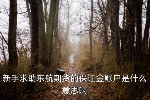 金保證財(cái)富管理和東航什么關(guān)系，國(guó)鼎旗下的可溯貸資金安全嗎