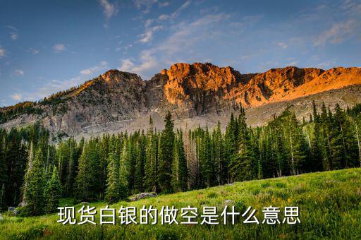 白銀做空是什么意思，白銀做空是什么意思