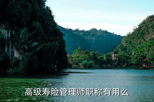 保險高管證有什么用，朋友讓我?guī)退急ｋU高管證說考過了我就是他公司的法人這兩個
