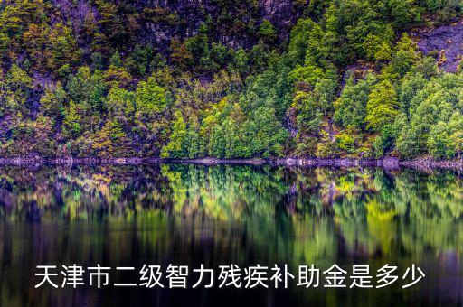 天津市對二級殘疾人有什么補助，二級殘疾人補助標準