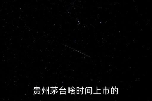 貴州茅臺什么時(shí)候上市，貴州茅臺啥時(shí)間上市的