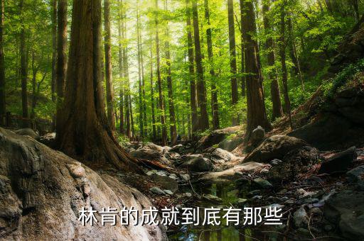 林肯的業(yè)績(jī)有什么，華盛頓林肯共同歷史功績(jī)