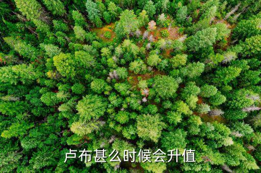 盧布什么時候升值，盧布甚么時候會升值
