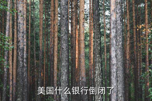 什么銀行倒閉了，美國什么銀行倒閉了