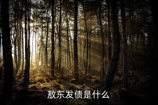 東方發(fā)債是什么，東方配債是甚么意思