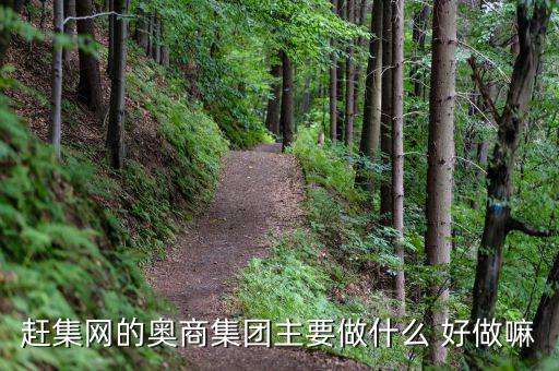 奧骨集團(tuán)是做什么的，趕集網(wǎng)的奧商集團(tuán)主要做什么 好做嘛