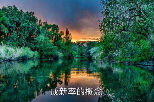 設備成新率是指什么，成新率的概念