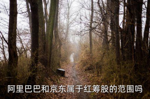 紅籌股是什么意思，權重股紅籌股