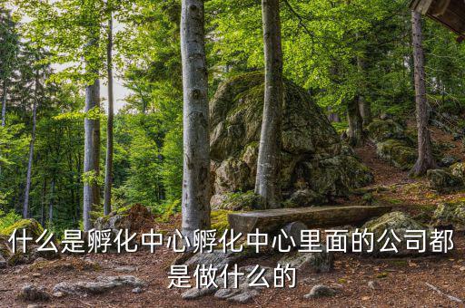 信隆實(shí)業(yè)是做什么的，什么是孵化中心孵化中心里面的公司都是做什么的