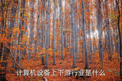 什么是計(jì)算機(jī)上游行業(yè)，軟件行業(yè)的上下游行業(yè)有哪些
