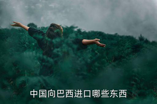 美國從巴西進口什么，中國向巴西進口哪些東西