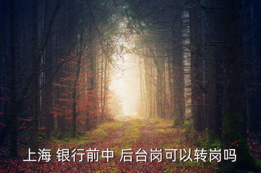 銀行前臺怎么轉(zhuǎn)后臺,銀行分為中央銀行和政策銀行、商業(yè)銀行等