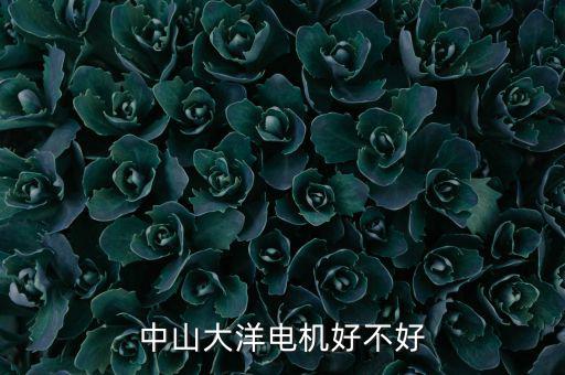 中山大洋電機屬于什么行業(yè)，中山大洋電機好不好