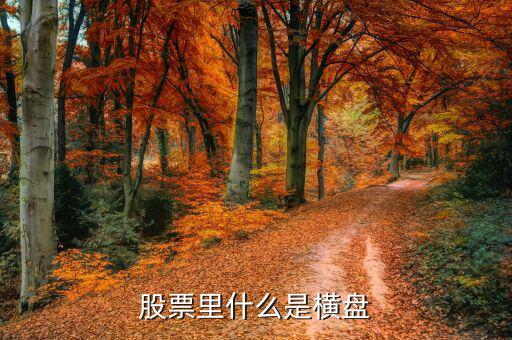 橫盤調(diào)整什么意思，股民們說的建倉橫盤是什么意思
