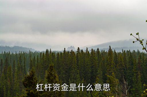 資金杠桿是什么意思，投資里面的杠桿是什么意思