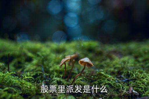 什么是股票派發(fā)，股票什么叫派發(fā)