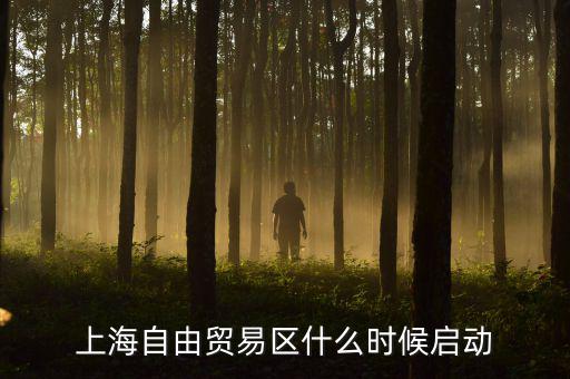 上海自貿(mào)區(qū)什么時(shí)候開放，上海自由貿(mào)易區(qū)什么時(shí)候啟動(dòng)