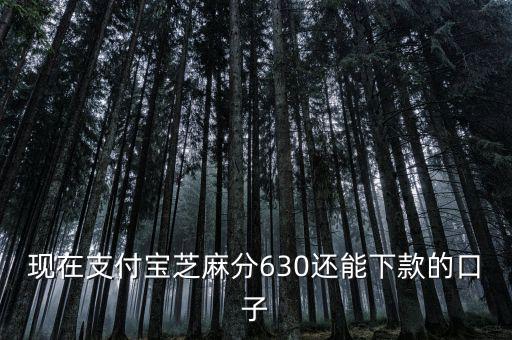 支付寶口子是什么意思，支付寶口子是什么意思