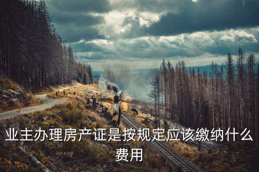 業(yè)主辦理房產(chǎn)證是按規(guī)定應該繳納什么費用