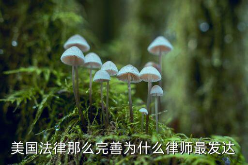 為什么美國(guó)賠償那么高，美國(guó)人為什么那么高