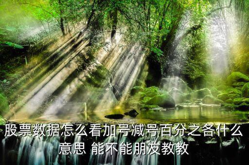 證券如何看漲停加減什么意思，漲停時(shí)買一后邊的數(shù)加減是什么意思