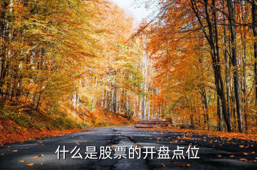 什么是股票的開(kāi)盤(pán)點(diǎn)位