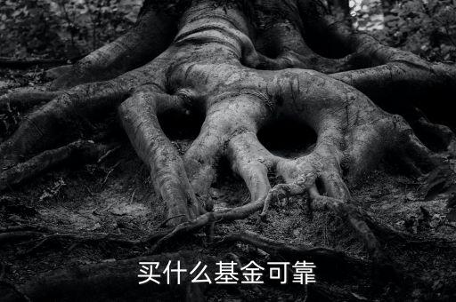 什么基金靠譜，哪些基金公司比較靠譜