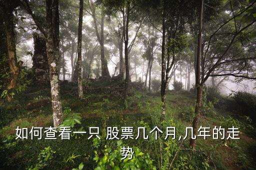 如何查看一只 股票幾個(gè)月,幾年的走勢(shì)