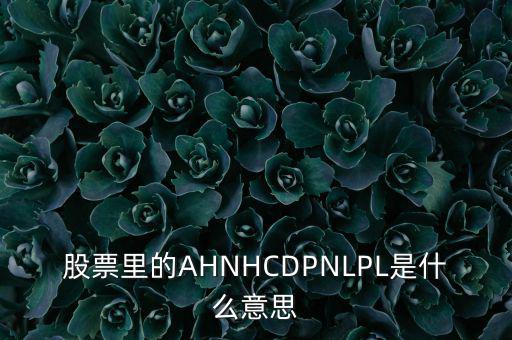 股票nl是什么意思，股票里的AHNHCDPNLPL是什么意思