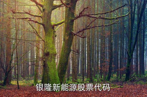 銀龍股份什么時(shí)候上市，銀隆新能源股票代碼