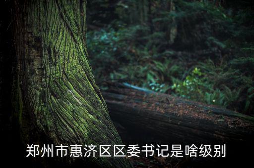 王洪章是什么級別，武警江西省總隊司令是什么級別