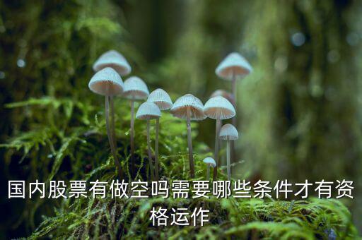 什么股票才可以做空，同花順里面有沒(méi)有可以做空的股票