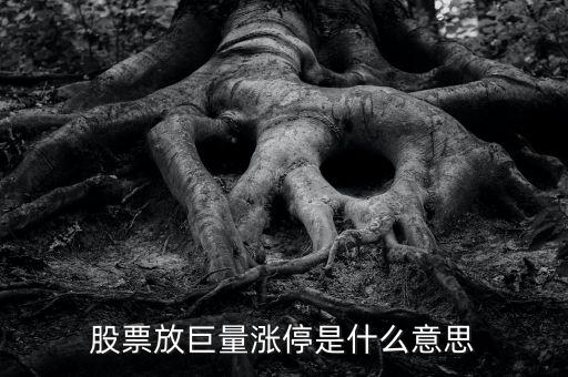 放巨量漲停意味著什么，放巨量拉漲停板說明什么