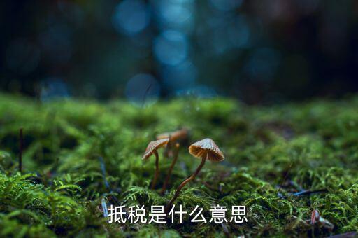 公司抵稅是什么意思，抵稅是什么意思