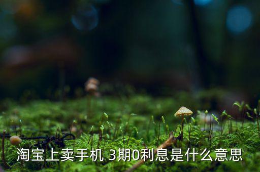 三零分期什么意思，淘寶上賣手機 3期0利息是什么意思