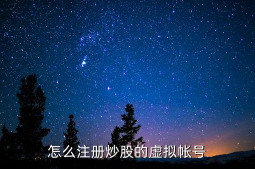 虛擬證券賬戶是什么，什么叫股票的虛擬賬戶