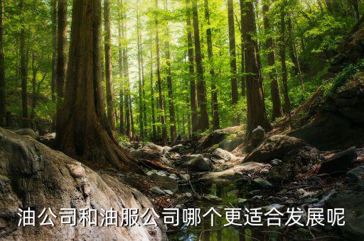 油服行業(yè)是什么，在油服公司做hr是做些什么