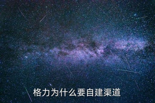 格力為什么自建渠道，格力與國(guó)美電器將來(lái)的合作的可能性如何請(qǐng)說(shuō)明原因