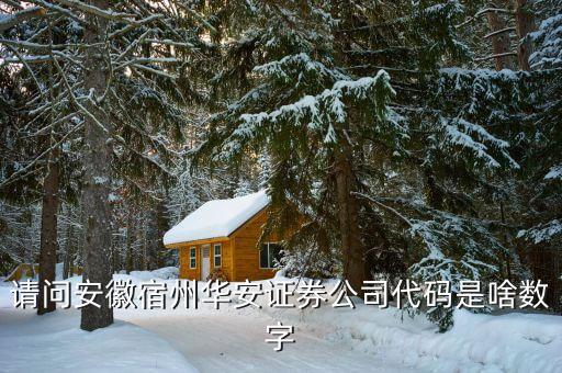 華安證券什么時(shí)間上市，請(qǐng)問(wèn)安徽宿州華安證券公司代碼是啥數(shù)字