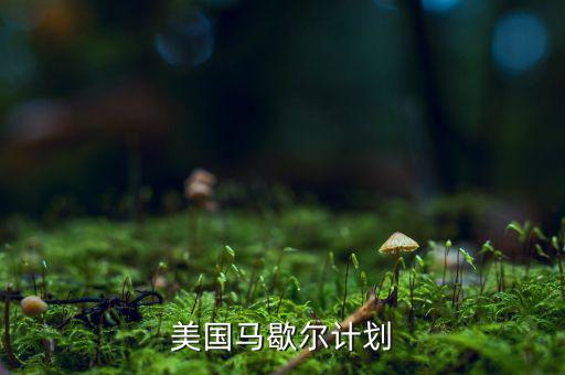 馬歇爾計劃內(nèi)容和實質(zhì)是什么，馬歇爾計劃