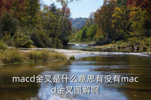 macd金叉是什么，請問在外匯交易中什么是MACD金叉
