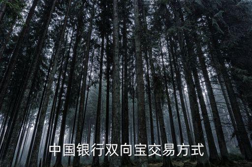 中國(guó)銀行雙向?qū)毷鞘裁?，中?guó)銀行雙向?qū)殬I(yè)務(wù)詳細(xì)介紹