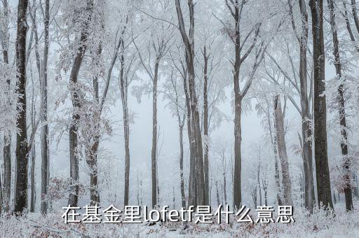 什么是etf，ETF 基金到底是什么東西