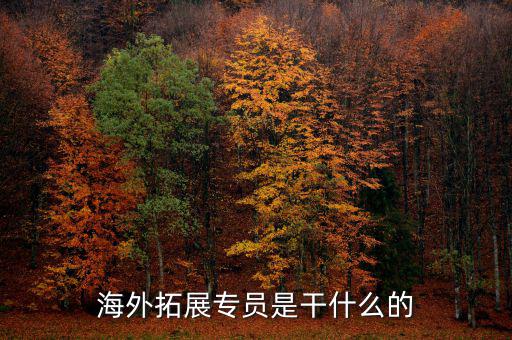 外拓業(yè)務(wù)員是做什么的，海外拓展專員是干什么的
