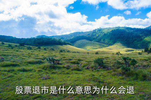 上市退出是什么意思，退市是什么意思